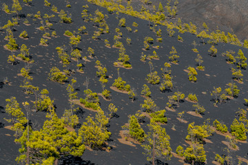 Vulkanlandschaft auf Palma