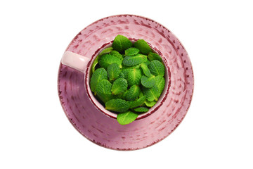 Mint leaves in a cup isolated on white background.