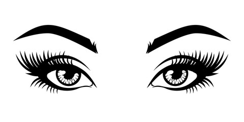 Illustration of woman's sexy luxurious eye with eyebrows and full lashes. Idea for business visit card, typography vector. Perfect salon look. .