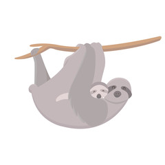 Sloth with baby hanging on a tree on white background. Cute mother sloth with her child hanging on tree branch. Parent concept.