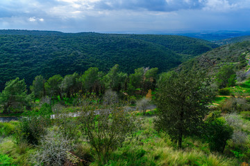 Yehiam Stream in the western Upper Galilee