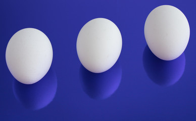 Eggs are white on a blue background.