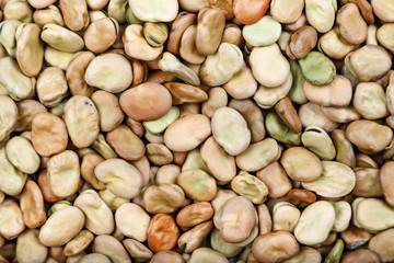 dry beans background