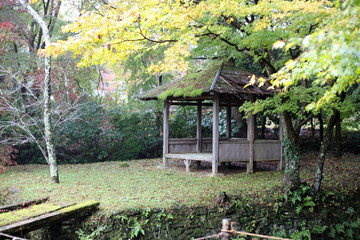 秋の丹生都比売神社