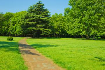 park path