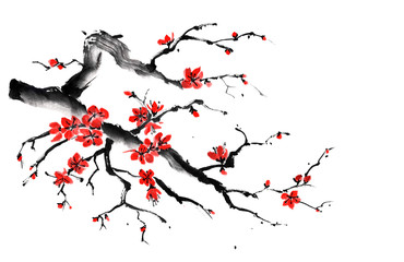 Ink illustration of branch of flowering red plum. Chinese painting. Hand drawn - 248474646