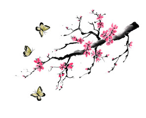 Ink illustration of branch of flowering pink plum and butterflies. Chinese painting. Hand drawn