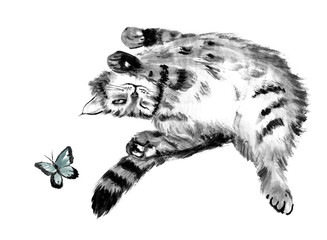 Ink illustration of playful tabby cat and butterfly. Chinese painting. Hand drawn - 248474659