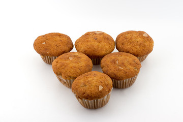 Milky Way Star Trail above a bare tree. 