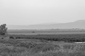 Hula Valley in a foggy day