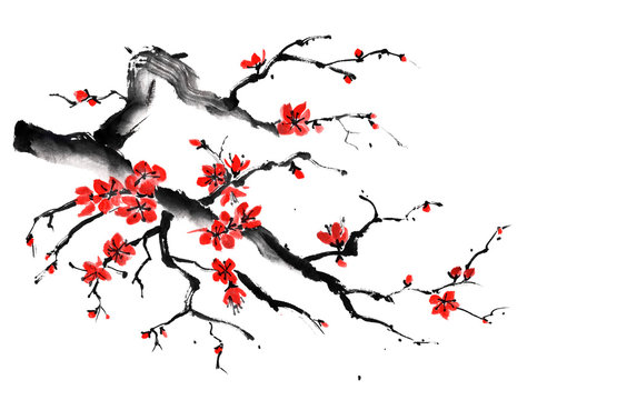 Ink illustration of branch of flowering red plum. Chinese painting. Hand drawn
