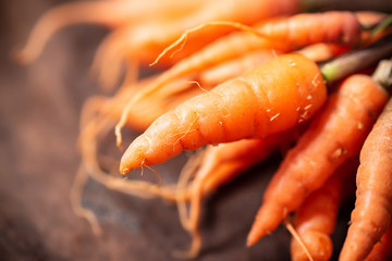 Fresh carrots on wooden background, organic vegetable