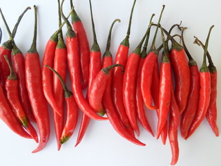 Red Cherry Pepper Chili