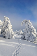 Obraz premium auf dem Berggipfel im Winter