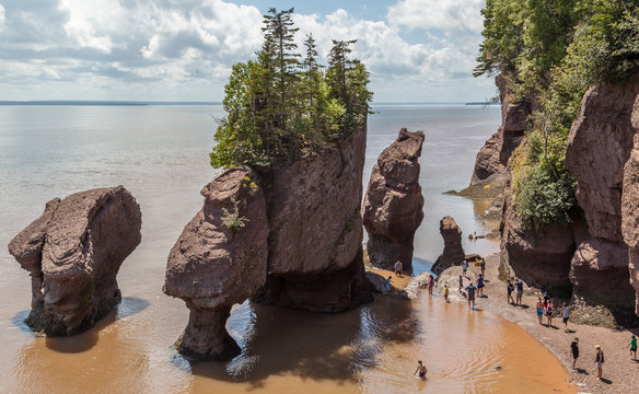 450+ Hopewell Rocks Beach Stock Photos, Pictures & Royalty-Free