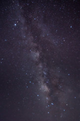 Fototapeta na wymiar Milky Way Star Trail above a bare tree. 