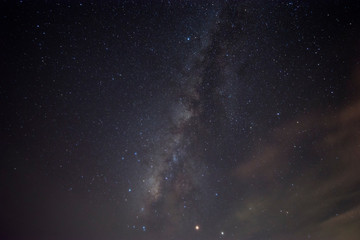 Fototapeta na wymiar Milky Way Star Trail above a bare tree. 