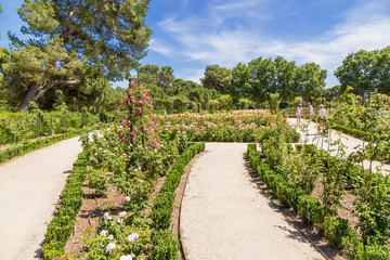 Madrid, Spain. Tourists in the Rosary of La Rosaleda in the Retiro Park