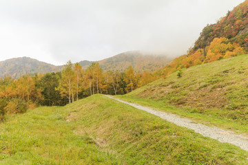 Beautiful  view of Japan autumn in Obuse park ,Nagano Prefecture,Japan.