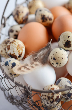 Different types of eggs in a basket on a gray concrete background.
