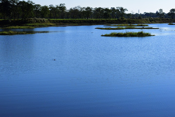 boat on the lake