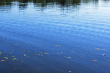 reflection in water
