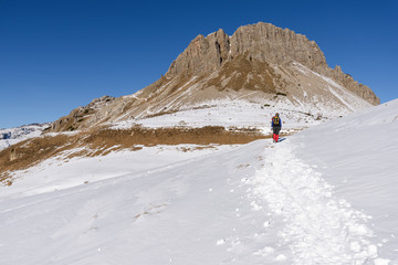 Fototapeta na wymiar Passo Rolle, Pale di San Martino mountain, Trentino Alto Adige region, Dolomites Alps, Italy, Europe
