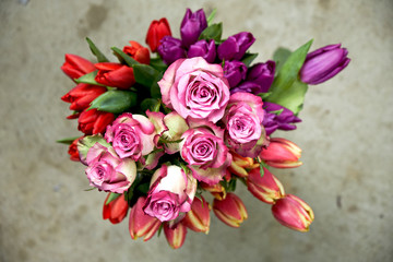 rosa rosa e bianca con tulipani viola rossi 