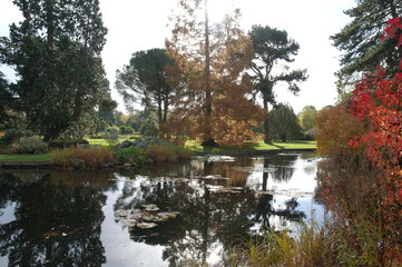 Reflection in the water