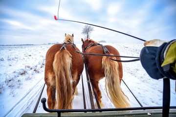 Fahrt mit dem Pferdeschlitten in Masuren im Winter - obrazy, fototapety, plakaty