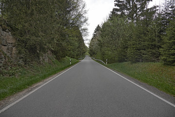 Long empty tarmac road into the distance surrounded by forested area