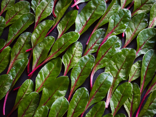 Chard lettuce leaves flat lay, close up.