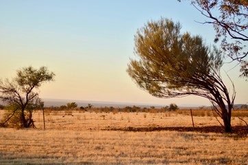 Naklejka na ściany i meble Central Australia, Outback desert
