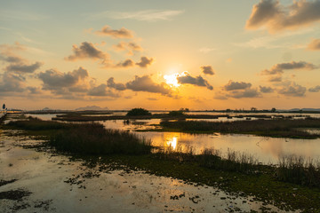 Talay Noi is the second of largest lake in Thailand. the lake is an abundant food a source for .waterfowl habitat a source of sea food.
