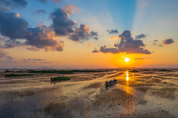 scenery sunset above the wetlands. Talay Noi is the second of largest lake in Thailand. the lake is an abundant food a source for .waterfowl habitat a source of sea food.