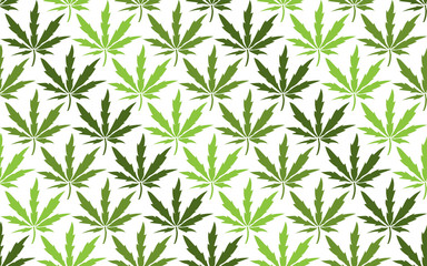 Cannabis leaves seamless pattern on white background