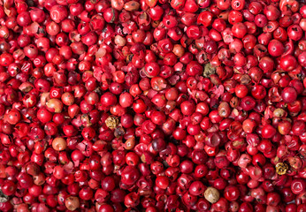 pink peppercorns as background