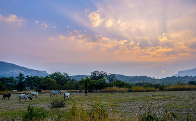 sunset over lake