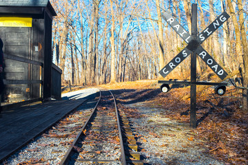 old railway station in the forest