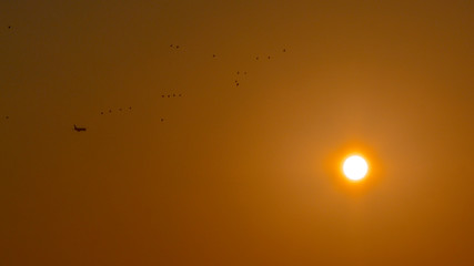 sun in the sky