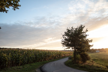 road in the countryside of Belgium