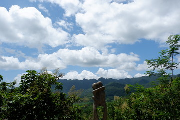 black stone carvings to decorate the garden in front of the house