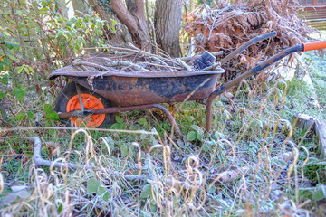 Winter shot of wheelbarrow  sitting amongst frosty grass and brambles.