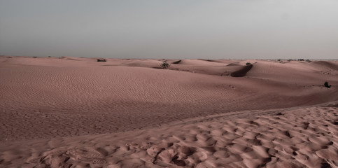 Fototapeta premium sand dunes in the desert