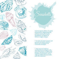 Rectangle composition for template of hand drawn sketch with seashells. Blue  elements and  spot isolated on white background.