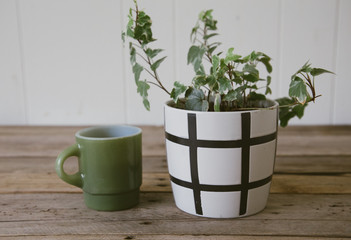 Potted Ivy and Green Coffee Mug
