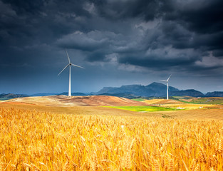 Windmill on the field