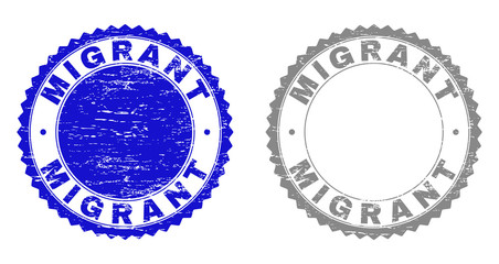 Grunge MIGRANT stamp seals isolated on a white background. Rosette seals with grunge texture in blue and gray colors. Vector rubber stamp imitation of MIGRANT caption inside round rosette.