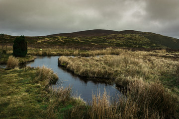 Fototapeta na wymiar Welsh Moors Landscape