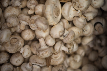 Mushrooms on the shop counter.